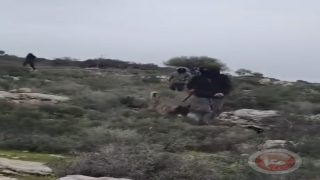 المستوطنون يصيبون إصابة أربعة مواطنين في سلفيت