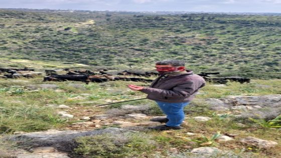 إصابة مواطن بجروح إثر اعتداء مستوطنين عليه في قراوة بني حسان غرب سلفيت