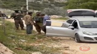 الاحتلال يعتقل راعيا في ديراستيا ومستوطنون يقتحمون محيط جامعة الزيتونة في سلفيت