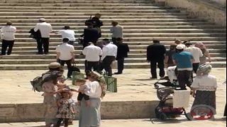 شاهد- مستوطنون يقتحمون الأقصى ويؤدون طقوسا تلمودية