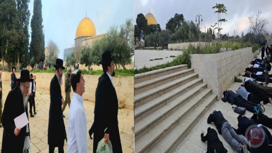 شاهد- مستوطنون يقتحمون “الأقصى” ويؤدون طقوسا تلمودية