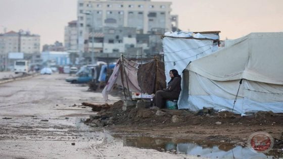 وزير الصحة: غزة على حافة تفشي الأوبئة مع تصاعد خطر القوارض
