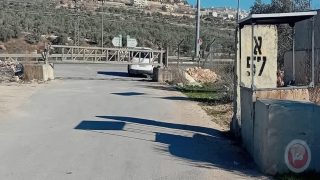 مردا تئن بصمت… حين تُقتلع الجذور وتُغلق الحياة خلف بوابات الاحتلال