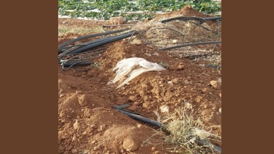 الاحتلال يدمر خطوطا ناقلة للمياه شرق طمون