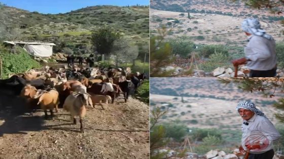 إرهاب المستوطنين يقتلع تجمع عزبة العيون من وادي قانا غرب سلفيت