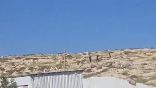 مستوطنون يهاجمون مخماس قرب القدس ويتجمعون على جبل العاصور شرق رام الله