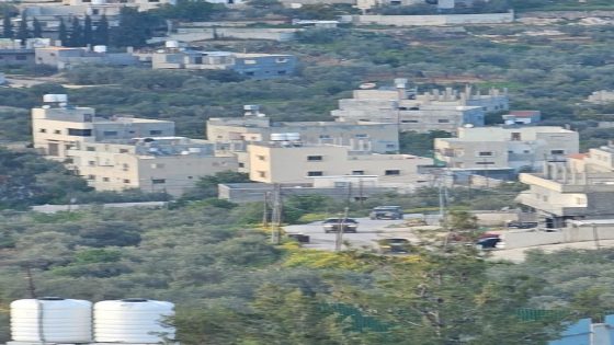 مستوطنون يهاجمون منازل المواطنين في بيتا جنوب نابلس