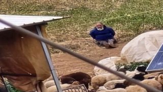 مستوطنون يعتدون على مزارعين ويستولون على مركبة شمال أريحا