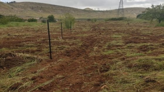 الاحتلال يصادر عشرات الدونمات في بيت عينون شمال شرق الخليل لشق طريق استيطاني