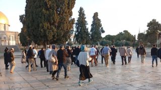 الهباش يحذر من عواقب استمرار انتهاكات المستوطنين لقدسية المسجد الأقصى المبارك