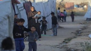 الأونروا: الجرذان تهاجم أطفال غزة أثناء نومهم في الخيام