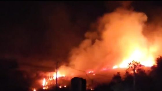 مستوطنون يحرقون أراضي زراعية في قرية المغير