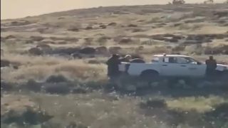 فشل المستوطنون في طرده.. قوات الاحتلال تعتقل مواطنا أثناء رعيه الأغنام في مسافر يطا