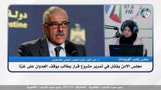مجلس الامن يفشل في تمرير مشروع قرار يطالب بوقف العـ ـدوان على غـ ـزة