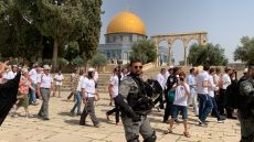 302 مستعمر يقتحمون المسجد الأقصى