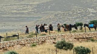 مستعمرون ينصبون سياجا حول أراضي المواطنين شرق رام الله