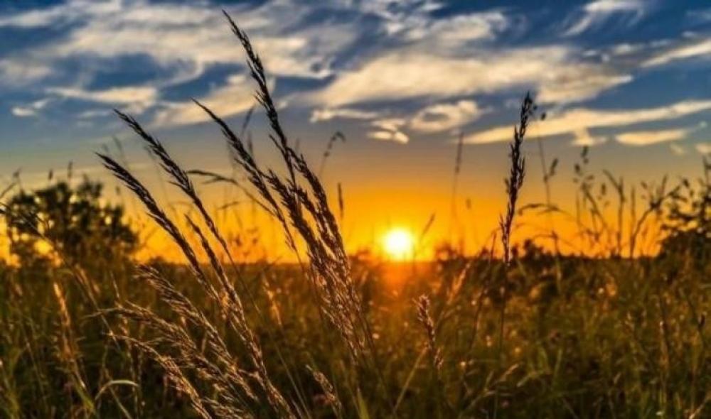 حالة الطقس: أجواء حارة تدريجياً حتى الأربعاء وانخفاض على الحرارة الخميس