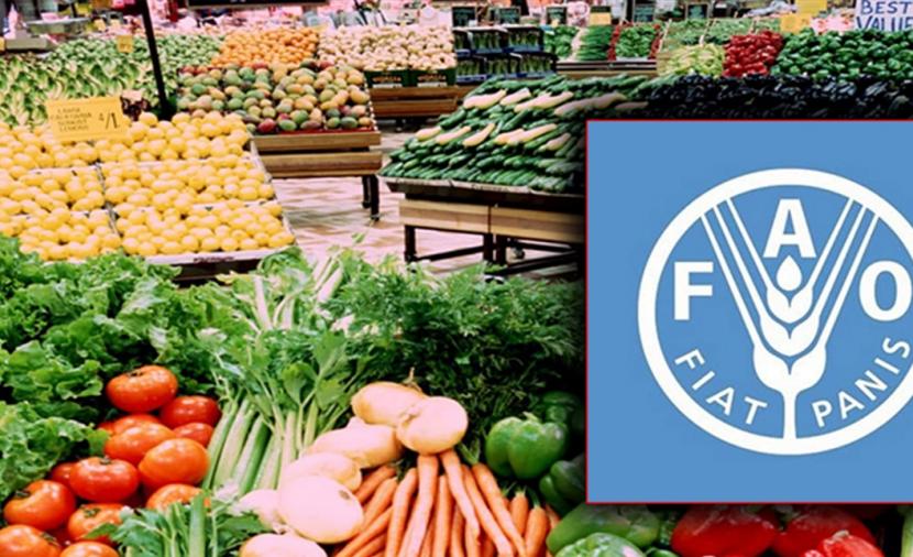 الفاو: ارتفاع أسعار الغذاء عالميا 2.2% على أساس سنوي