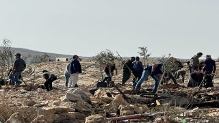 مستعمرون يخربون أراضٍ زراعية في خربة مسعود جنوب جنين