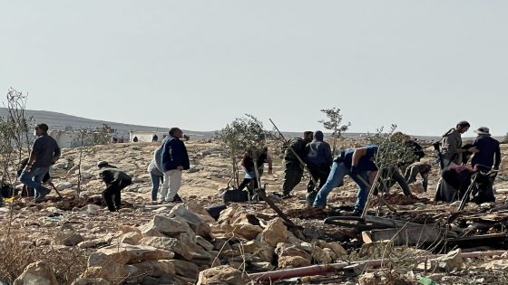 مستعمرون يخربون أراضٍ زراعية في خربة مسعود جنوب جنين