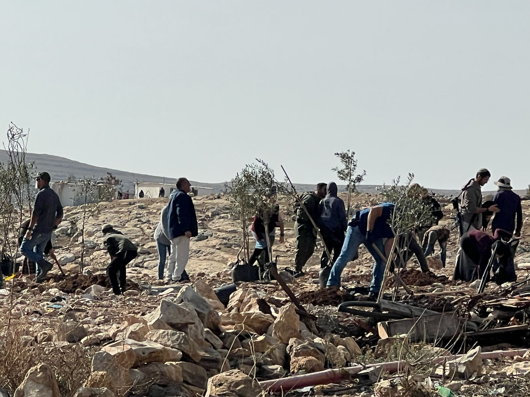 مستعمرون يخربون أراضٍ زراعية في خربة مسعود جنوب جنين