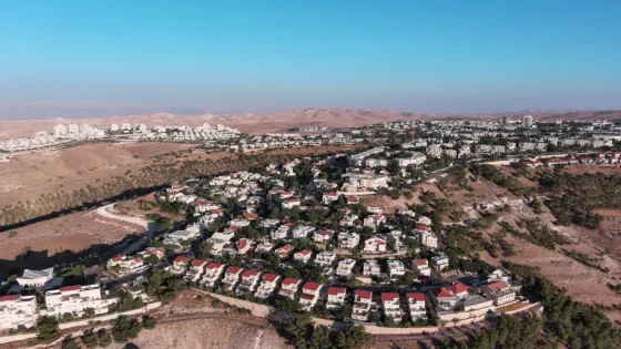 أبو رحمة: تصاعد الاعتداءات الاستيطانية يهدف إلى فرض واقع جديد والسيطرة على الأراضي الفلسطينية