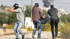 "مستعربون" يختطفون شابا من مدينة جنين