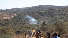 مستعمرون يخربون أراضي المواطنين بالجبعة والاحتلال ينصب حاجزا في بيت جالا